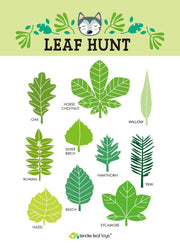 Tender Leaf Forest Trail Kit