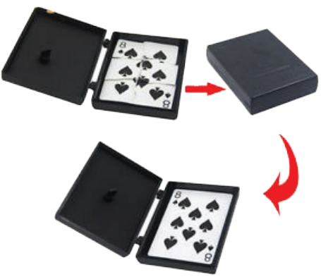 Torn and restored card case